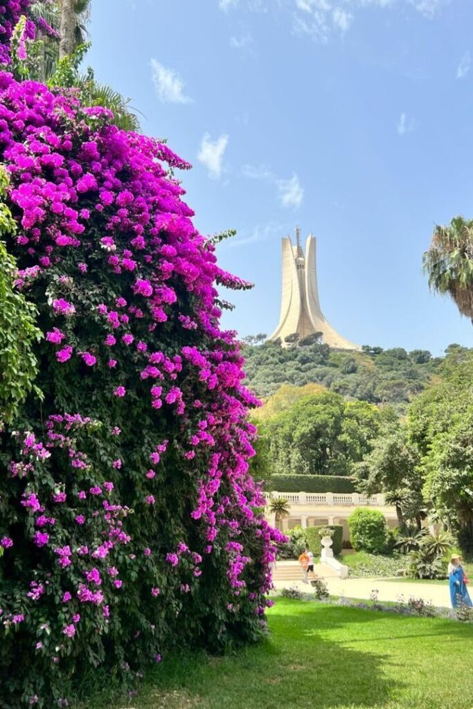 814cb5b5cb6a41a7600c8bf207ed5e5a