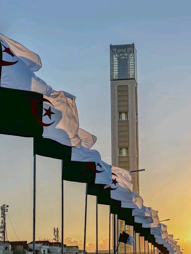 8301ee2adcac1d472a79522ca36602a5