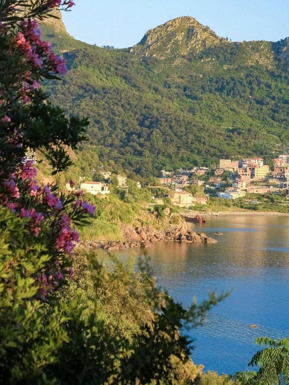jijel